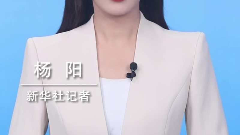 AI技术外包项目的验收标准如何制定